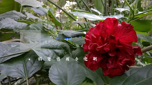e招贷信用卡逾期 e招贷信用卡逾期