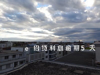 e招贷利息逾期5天