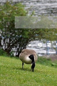 e招贷只还本金行不行 e招贷只还本金行不行