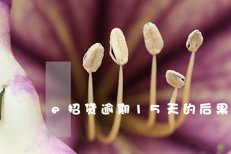 e招贷逾期15天的后果 e招贷逾期15天的后果