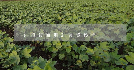 e招贷逾期2月被停卡 e招贷逾期2月被停卡