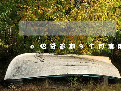 e招贷逾期3个月信用卡被停