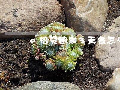 e招贷逾期3天会怎么样 e招贷逾期3天会怎么样