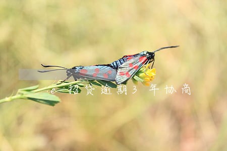 e招贷逾期3年协商 e招贷逾期3年协商