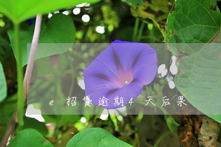 e招贷逾期4天后果 e招贷逾期4天后果