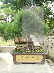 e招贷逾期5天会有什么后果 e招贷逾期5天会有什么后果