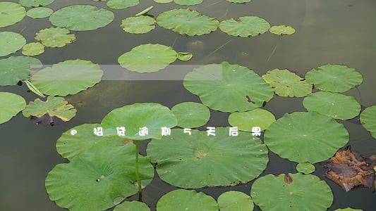 e招贷逾期5天后果 e招贷逾期5天后果
