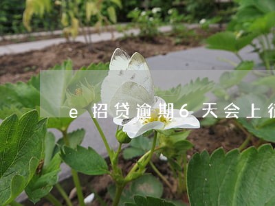 e招贷逾期6天会上征信吗 e招贷逾期6天会上征信吗