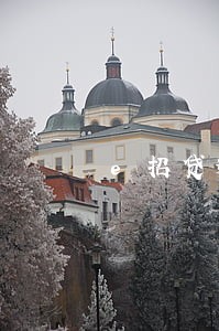 e招贷逾期一年能只还本金吗 e招贷逾期一年能只还本金吗