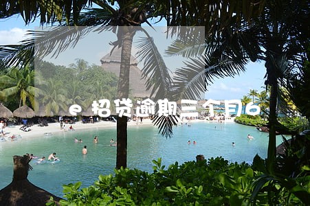 e招贷逾期三个月6
