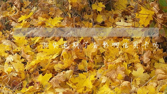 e招贷逾期了会影响信用卡吗 e招贷逾期了会影响信用卡吗