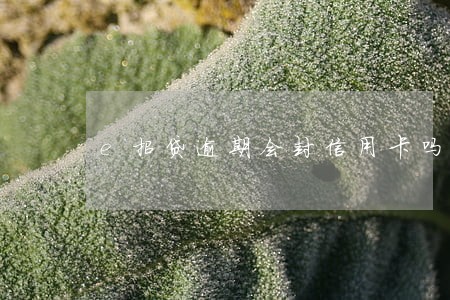 e招贷逾期会封信用卡吗 e招贷逾期会封信用卡吗