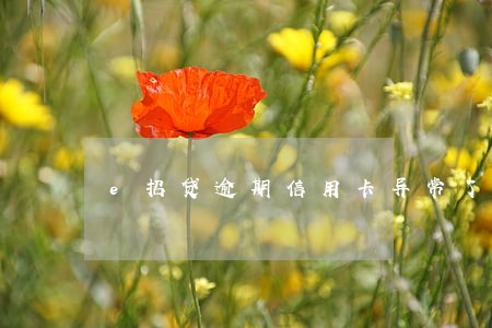 e招贷逾期信用卡异常了 e招贷逾期信用卡异常了