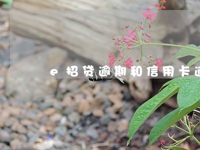 e招贷逾期和信用卡逾期 e招贷逾期和信用卡逾期