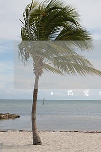 e招贷逾期第4章多久会上征信 e招贷逾期第4章多久会上征信