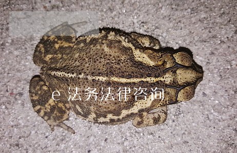 e法务法律咨询 e法务法律咨询