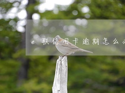 e联信用卡逾期怎么办 e联信用卡逾期怎么办