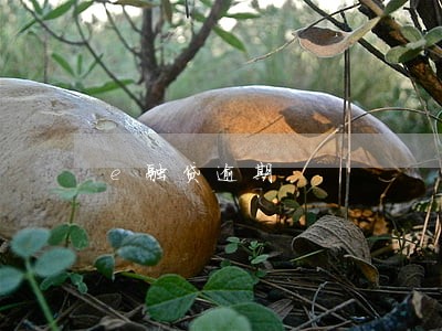 e融贷逾期