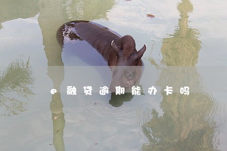 e融贷逾期能办卡吗