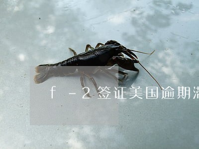 f-2签证美国逾期滞留 f-2签证美国逾期滞留