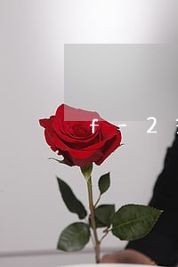 f-2签证逾期 f-2签证逾期