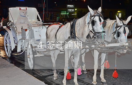 f4签证逾期 f4签证逾期