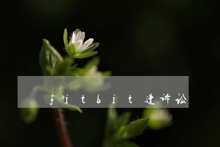 fitbit遭诉讼 fitbit遭诉讼