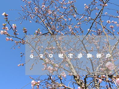 g20批次逾期账户 g20批次逾期账户