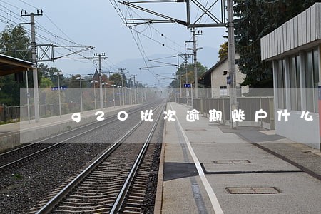 g20批次逾期账户什么意思 g20批次逾期账户什么意思