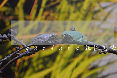 garland担任司法部长 garland担任司法部长