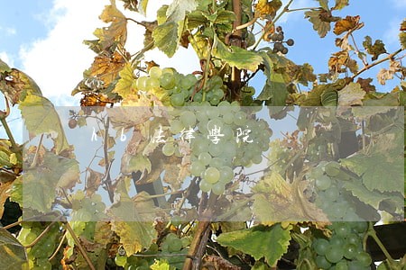 hb法律学院