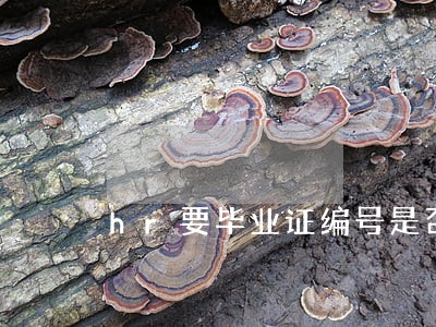hr要毕业证编号是否违法