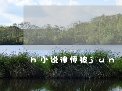 h小说律师被jun h小说律师被jun