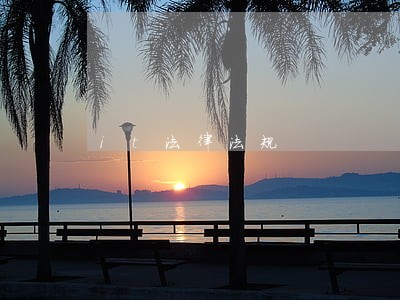 it法律法规 it法律法规