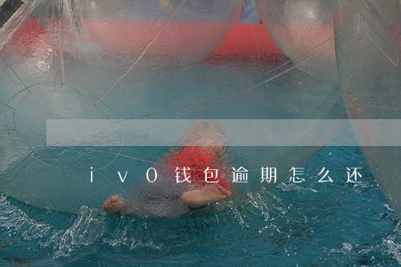 iv0钱包逾期怎么还