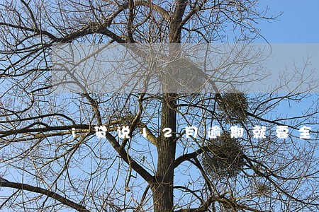 i贷说12月逾期就要全部结清 i贷说12月逾期就要全部结清