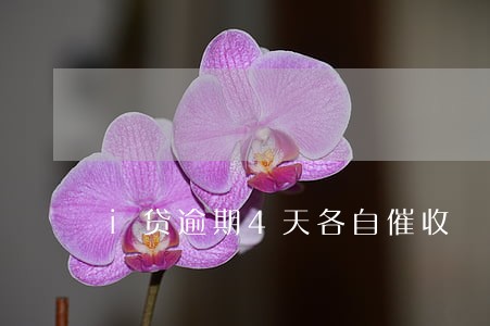 i贷逾期4天各自催收 i贷逾期4天各自催收