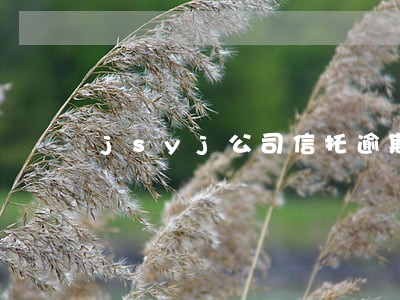 jsyj公司信托逾期2亿 jsyj公司信托逾期2亿
