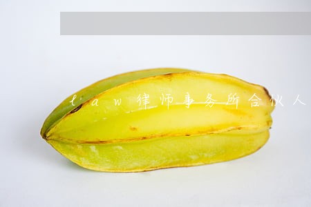 law律师事务所合伙人alex