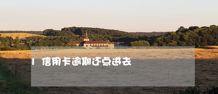 l信用卡逾期还点进去 l信用卡逾期还点进去