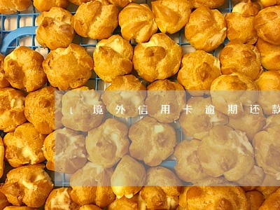 l境外信用卡逾期还款后果 l境外信用卡逾期还款后果