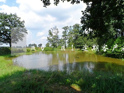 m0-m1逾期客户流入率 m0-m1逾期客户流入率