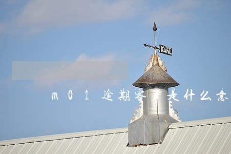 m01逾期客户是什么意思 m01逾期客户是什么意思