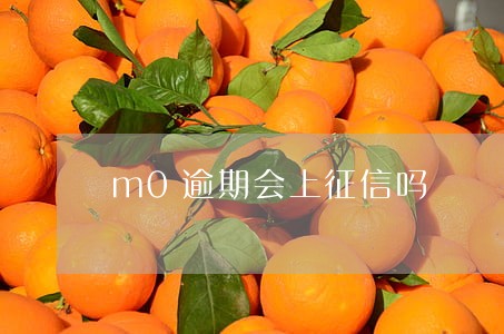m0逾期会上征信吗 m0逾期会上征信吗