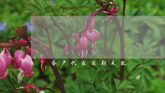 m1客户代表逾期天数 m1客户代表逾期天数