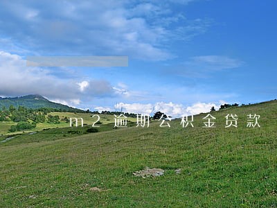 m2逾期公积金贷款 m2逾期公积金贷款