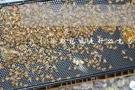 m2逾期记录是什么意思 m2逾期记录是什么意思