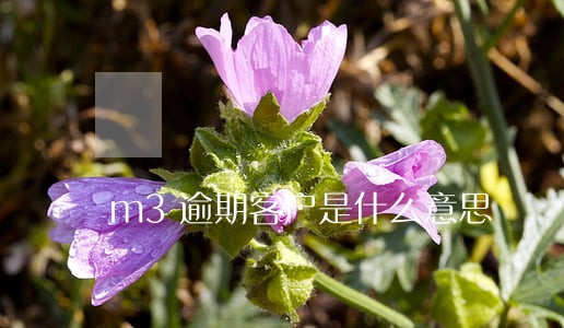 m3逾期客户是什么意思 m3逾期客户是什么意思