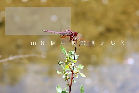 m6信用卡逾期是多久