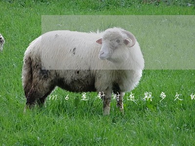 m6是针对逾期多久的客户 m6是针对逾期多久的客户